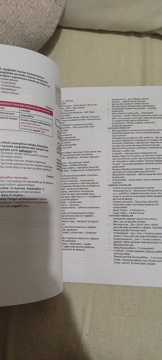 Dusakademisi - Görsel 3