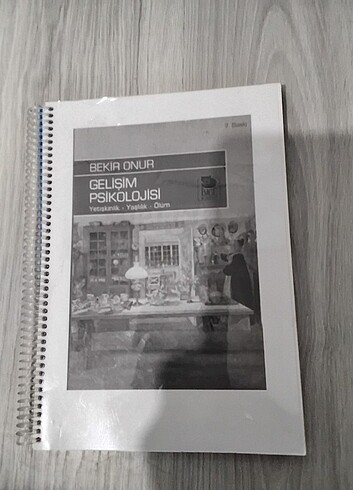 Gelişim psikolojisi 