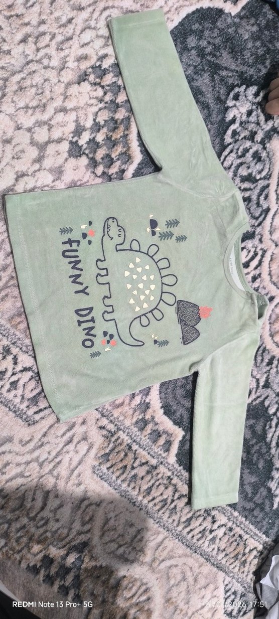 Gri Dinozor Baskılı Çocuk takım - Görsel 2