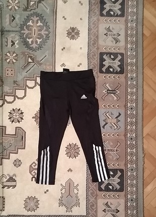 spor taytı