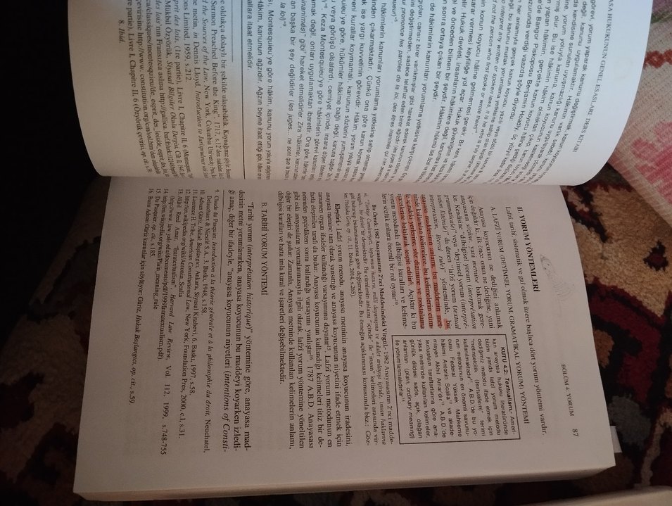 Anayasa Hukukunun Genel Esasları Kitapları - Görsel 3