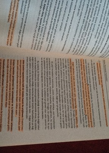 Kamu Maliyesi Kitabı - Prof. Dr. Osman Pehlivan - Görsel 6