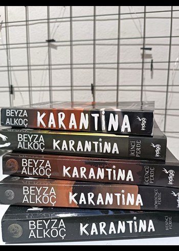 Beyza Alkoç - Karantina Roman Serisi
