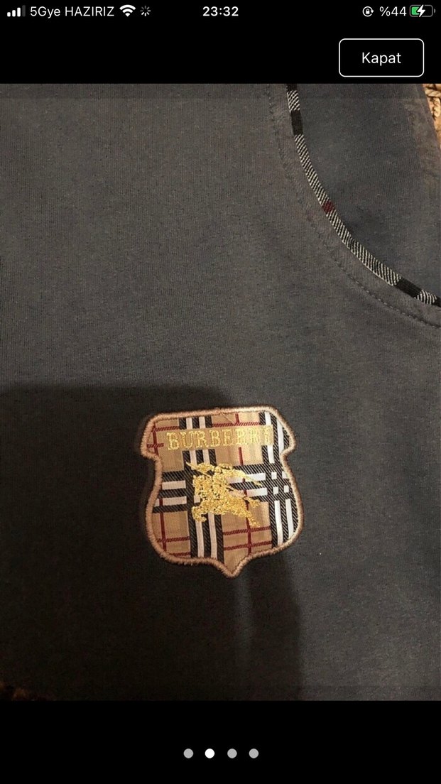 Düğmeli Nakışlı Gri  şort - Görsel 3