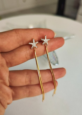 Diğer Rose Püsküllü Uzun Minimalist Küpe