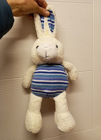Beden Uzun kulak Bunny Tavşan