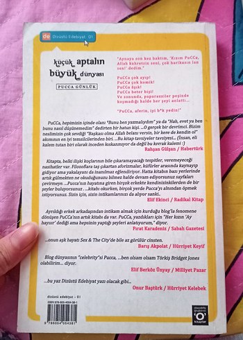 Küçük Aptalın Büyük Dünyası - Pucca - Görsel 2