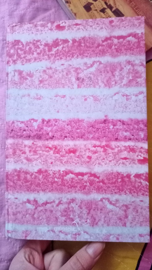 Muzlu Pastam - Görsel 2