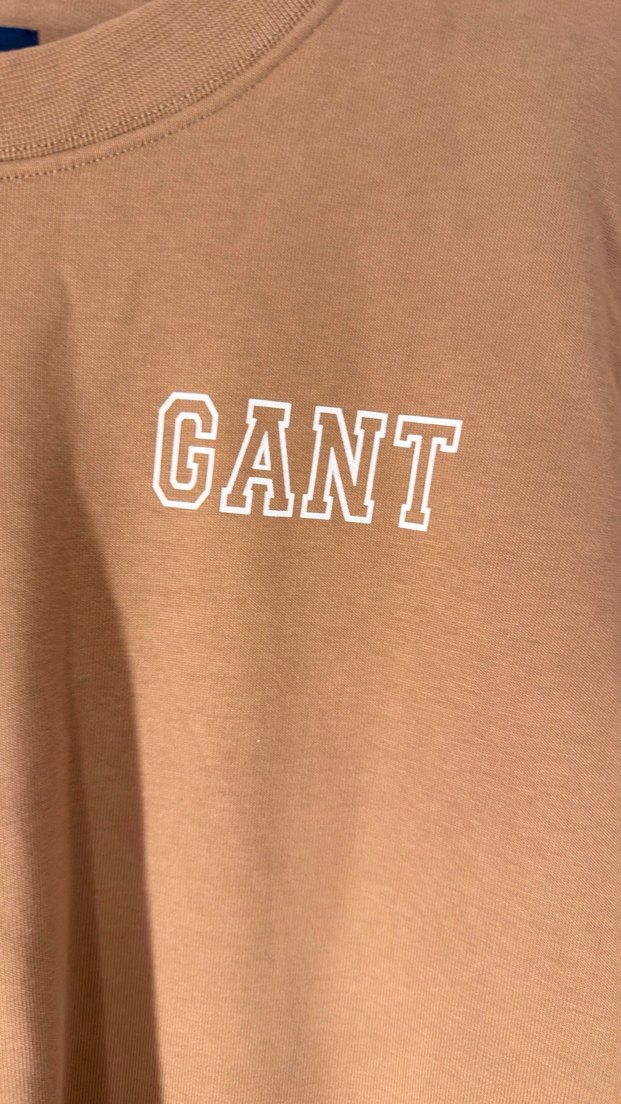 Bej orijanal GANT Baskılı Sweatshirt - Görsel 3