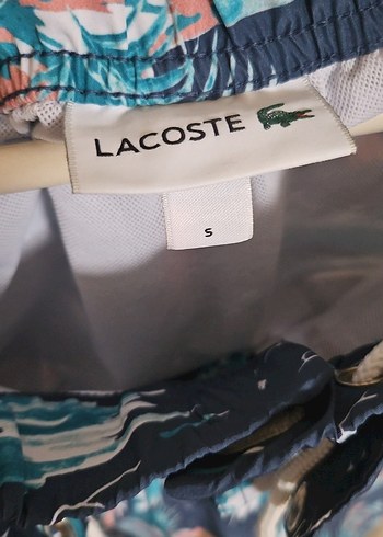 Erkek Lacivert lacoste Mini Şort - Görsel 5
