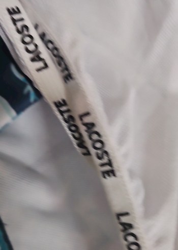 Erkek Lacivert lacoste Mini Şort - Görsel 7