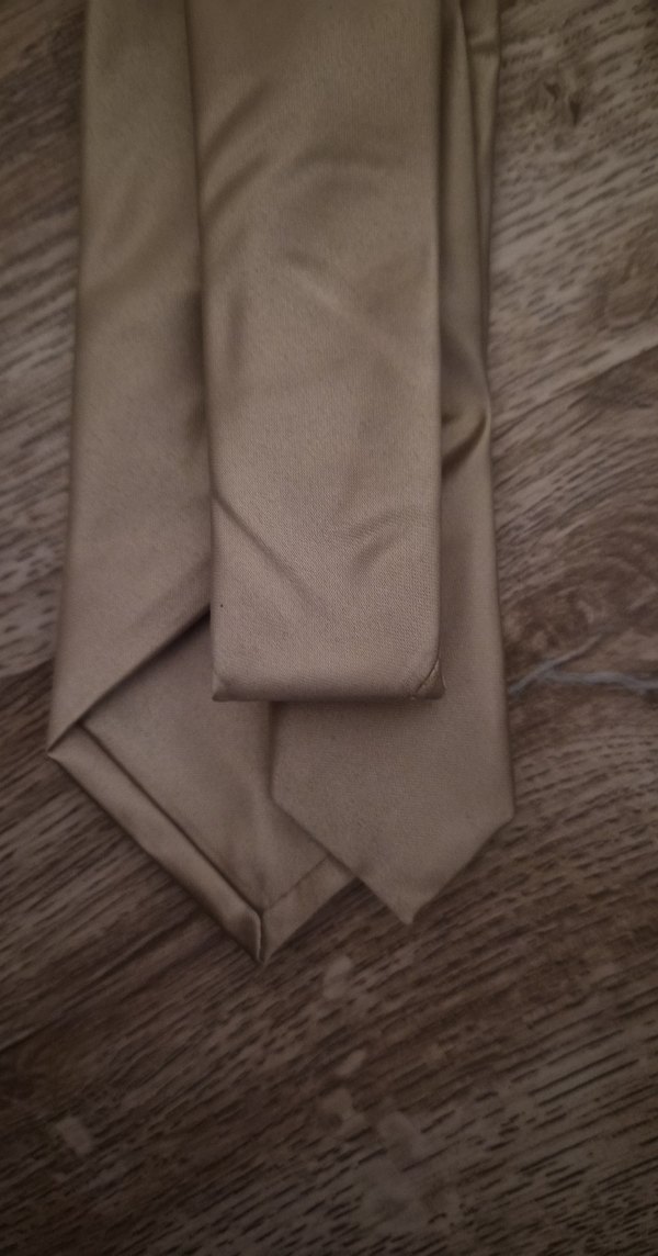 Bej Erkek Kravat - Görsel 4