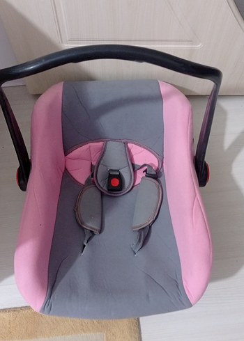 Pembe Gri Bebek ana kucagı - Görsel 2