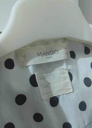 Mango yağmurkuk