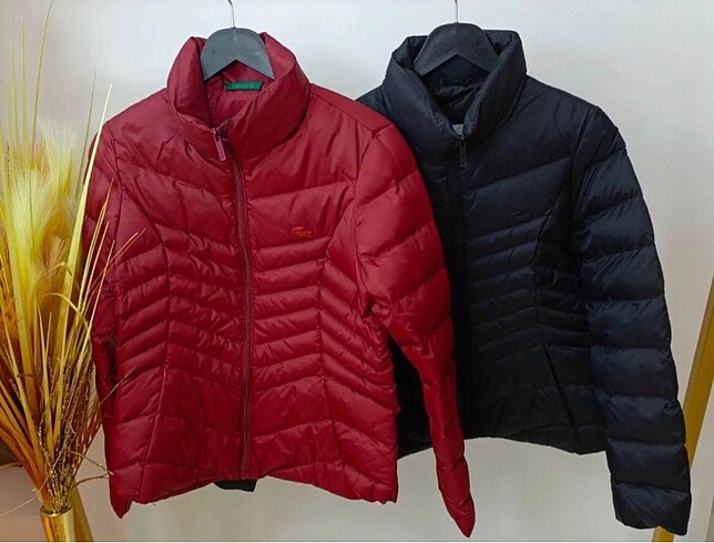 LACOSTE KADIN MONT