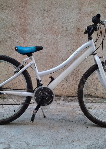 bianchi bella hafif boyalı