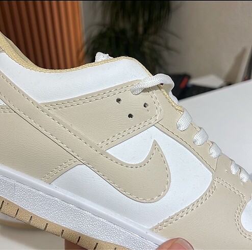 Nike Nike Dunk Low Pro