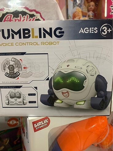 Robot