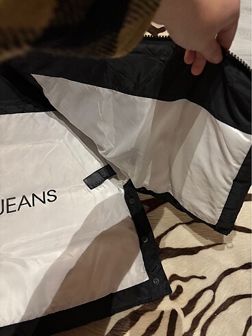 xl Beden Calvin Klein Erkek Mont
