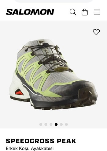 Salomon 44