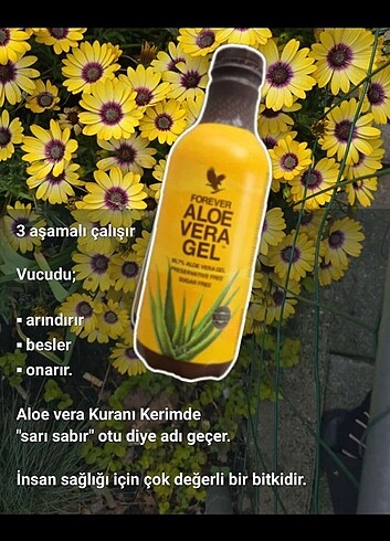 FOREVER AMERİKAN MALI