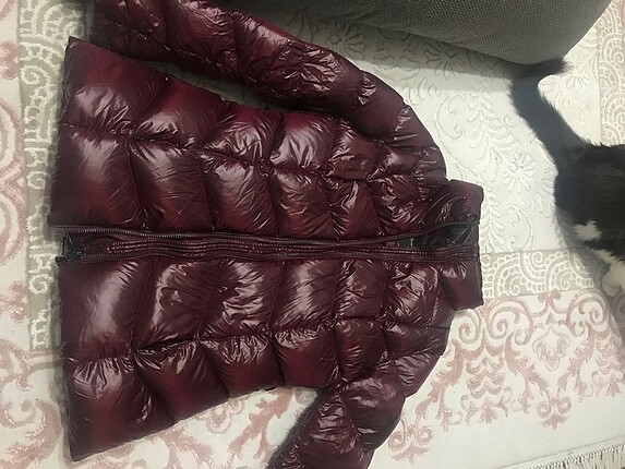 Şişme mont