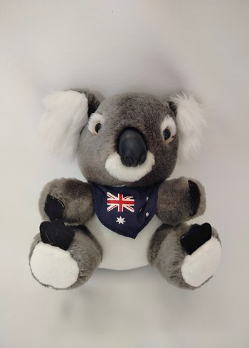 Diğer Gri Koala Peluş Oyuncak Koala, yeni