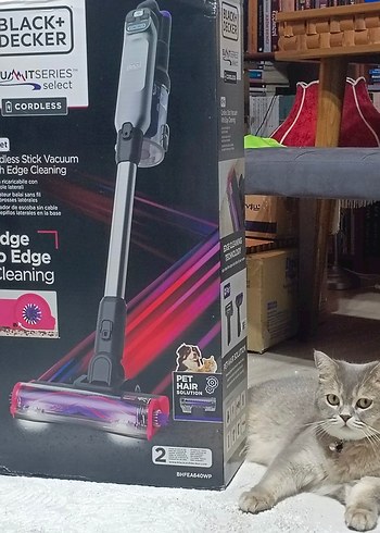 Black+Decker Kablosuz Dikey Süpürge Gri
