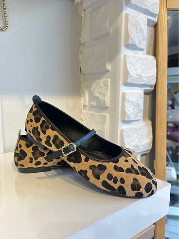 Leopar 38