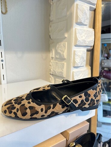 38 Beden Leopar 38