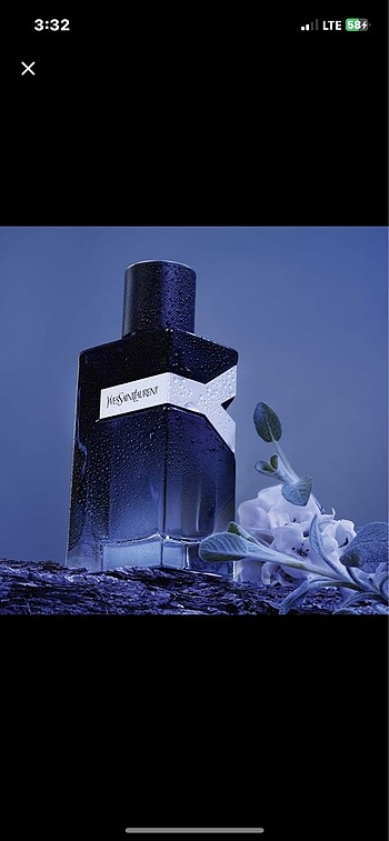 Beden YSL Y EDP