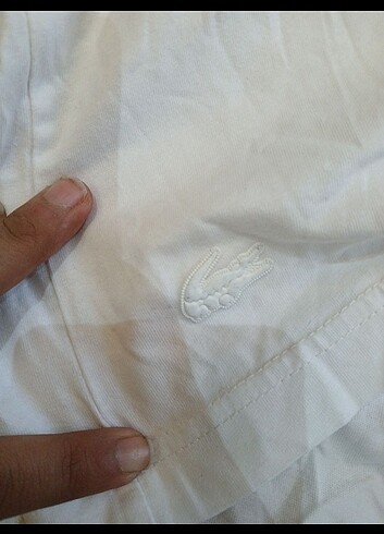 Lacoste