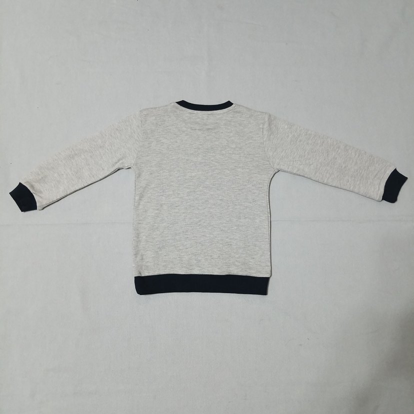 Yedunuz Beni Gri Pamuklu Erkek Sweatshirt - Görsel 2