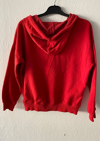 Kapüşonlu Sweat (soluk) - Görsel 5