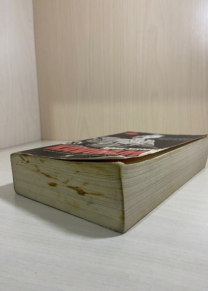 ADOLF HİTLER - KAVGAM - Görsel 3