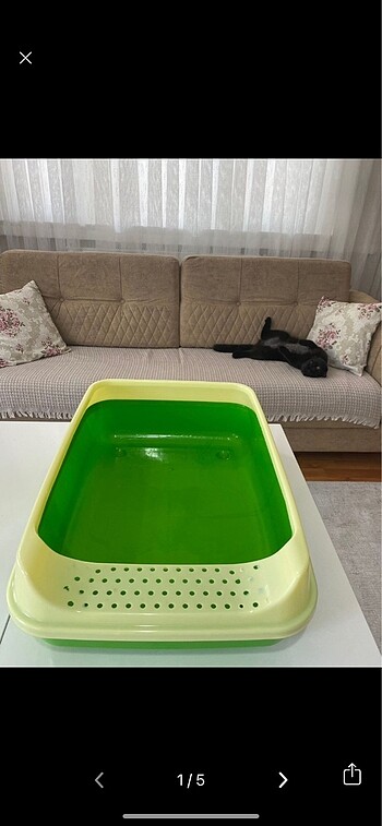 kedi tuvaleti