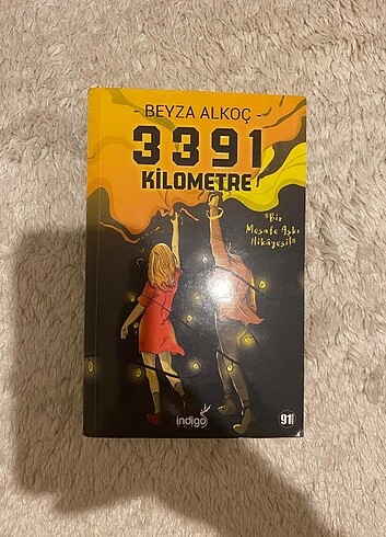 3391 kilometre ciltsiz alara adına imzalı defosuz  - Görsel 4