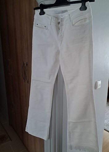 Kot pantalon