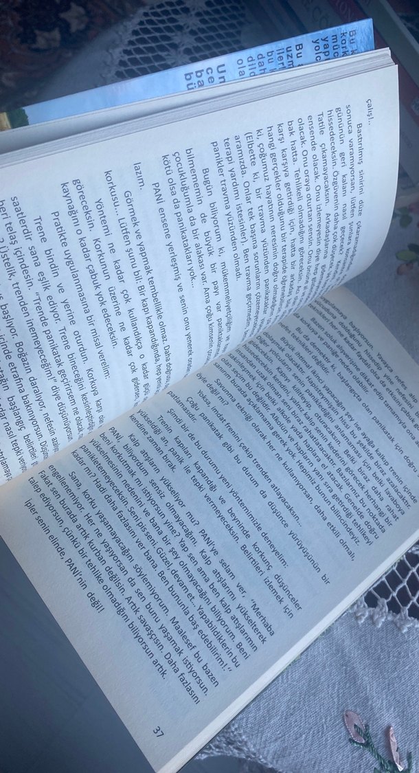 Panikatak Güle Güle - Serpil Kaliç - Görsel 4