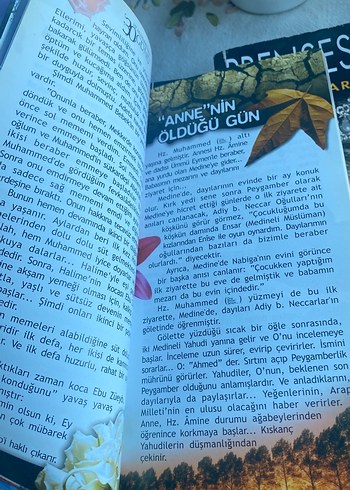 Hz. Muhammed'in 30 Günü - Said Alpsoy - Görsel 4