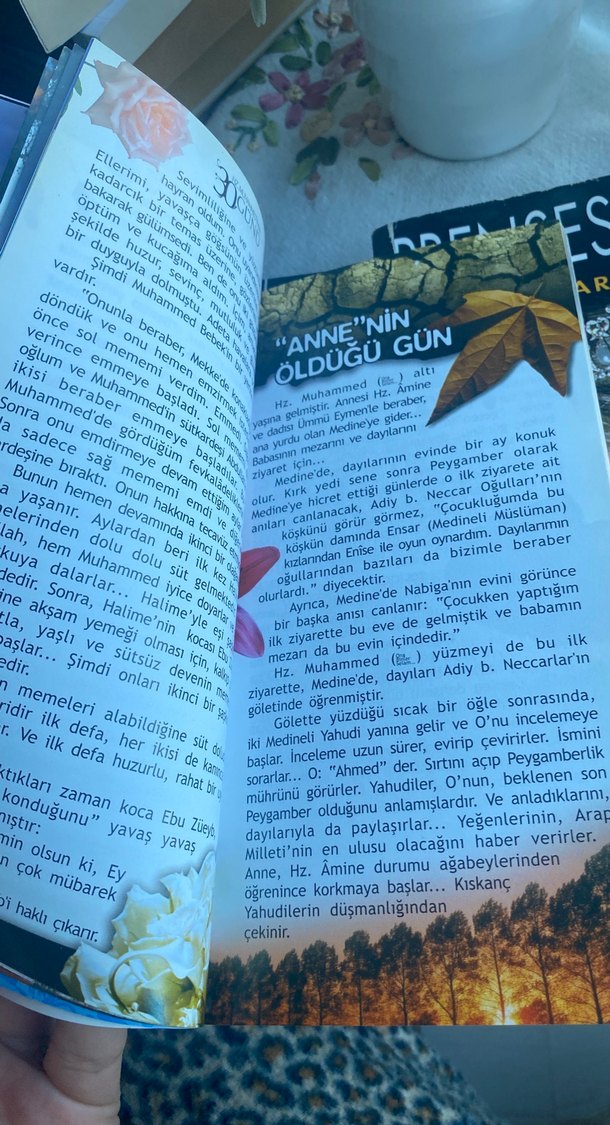 Hz. Muhammed'in 30 Günü - Said Alpsoy - Görsel 4