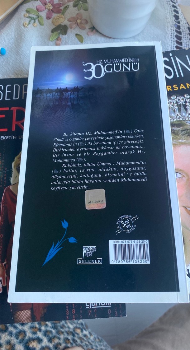 Hz. Muhammed'in 30 Günü - Said Alpsoy - Görsel 2