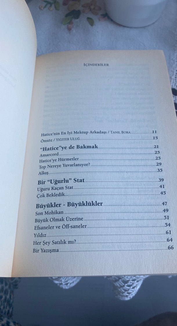 Hatice'ye Mektuplar - Yiğiter Uluğ - Görsel 3