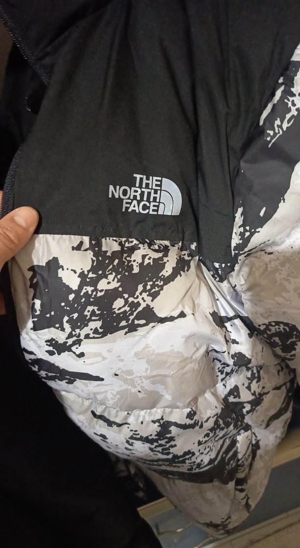 The North Face Desenli Gri Erkek Mont - Görsel 3