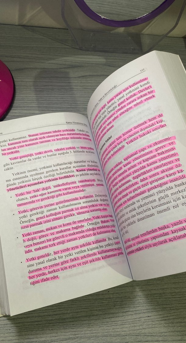 Kamu Yönetimine Giriş - Prof. Dr. Ahmet Hamdi Aydın - Görsel 3