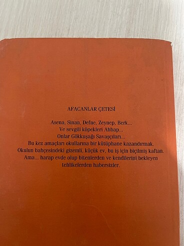 Afacanlar Çetesi