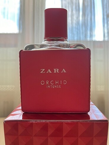 Zara Orchid