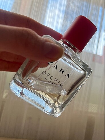 Zara Zara Orchid