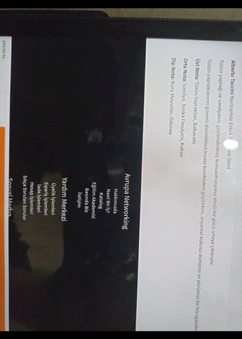 Alberto Taccini Nyctophile erkek Parfümü - Görsel 2