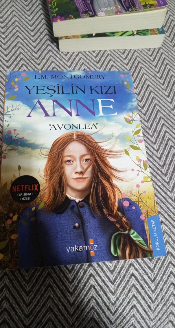 Yeşilin Kızı Anne  Hasarsız & Temiz Kitap - Görsel 4